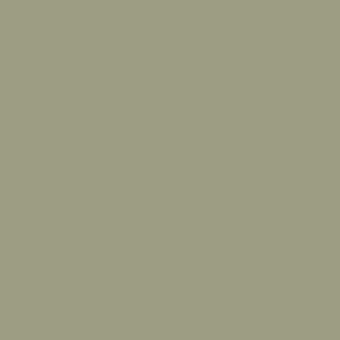 Matte Sage Green